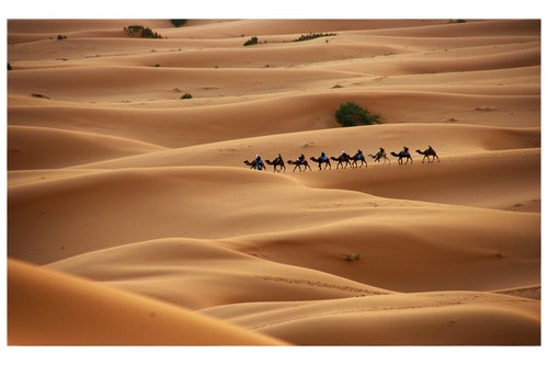http://islamic.kz