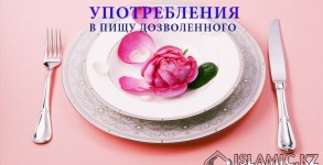 О необходимости употребления в пищу дозволенного