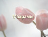 maxramy