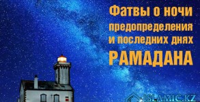 FATVY_noch_650_400_ru