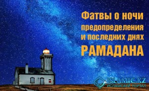 FATVY_noch_650_400_ru