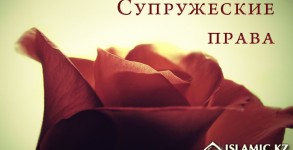 Супружеские права