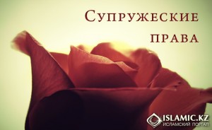 Супружеские права