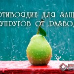 ПРОТИВОЯДИЕ ДЛЯ ЗАЩИТЫ СУПРУГОВ ОТ РАЗВОДА
