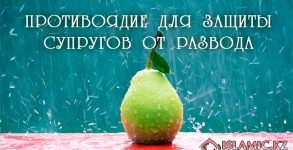 ПРОТИВОЯДИЕ ДЛЯ ЗАЩИТЫ СУПРУГОВ ОТ РАЗВОДА