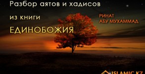Разбор аятов и хадисов из книги Единобожия