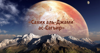 saxix-al-dzhami-as-sagir