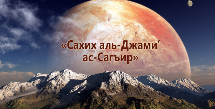 saxix-al-dzhami-as-sagir