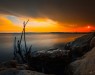 ali_imran_45-47