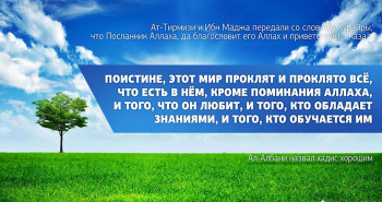Этот мир проклят кроме...