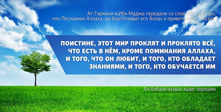 Этот мир проклят кроме...
