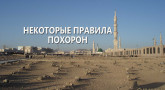 nekotorye-pravila-poxoron