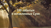 100-zabytyx-i-ostavlennyx-sunn
