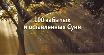 100-zabytyx-i-ostavlennyx-sunn