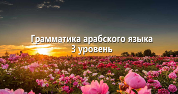 grammatika-arabskogo-yazyka-3-uroven